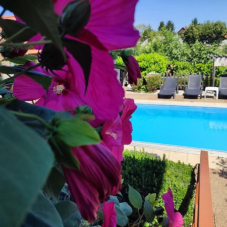 Haus Marika Hotel Siofok Bagian luar foto