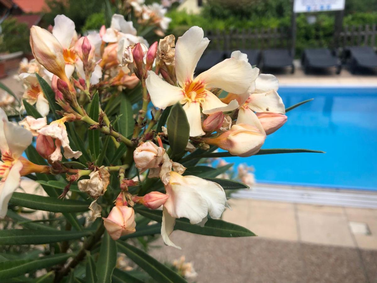 Haus Marika Hotel Siofok Bagian luar foto
