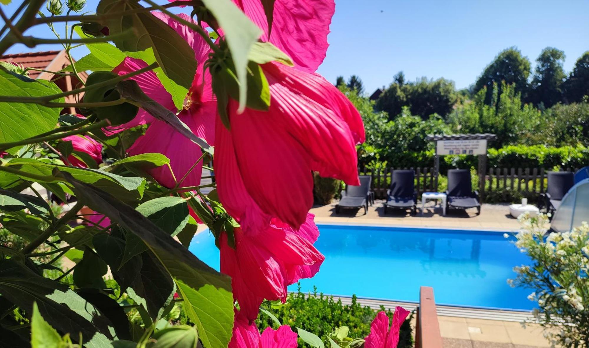 Haus Marika Hotel Siofok Bagian luar foto