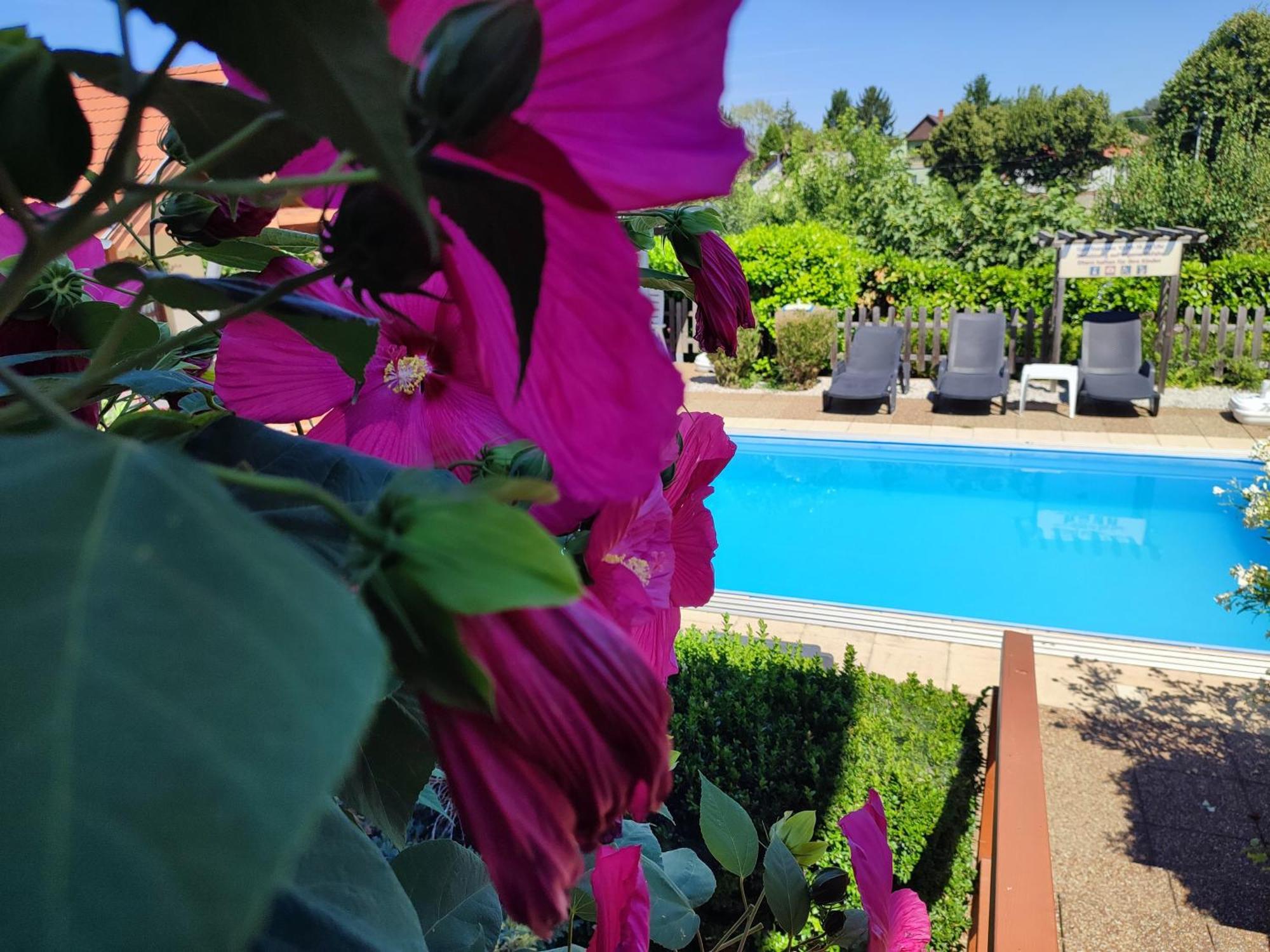 Haus Marika Hotel Siofok Bagian luar foto